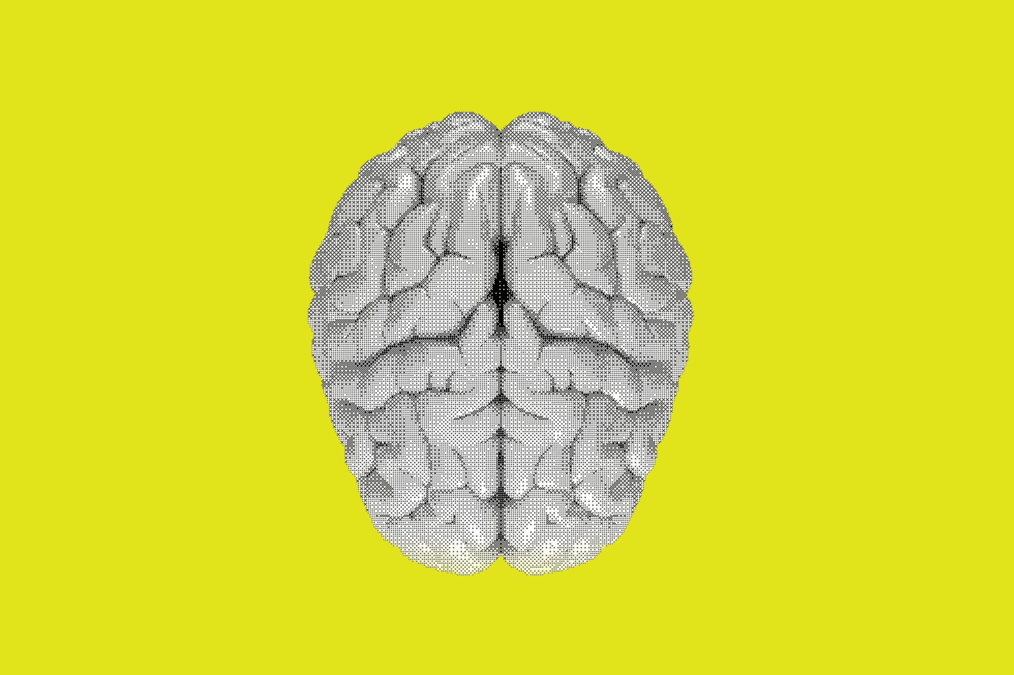 Codifying Expertise at Scale — Why AI Without Domain Knowledge Fails